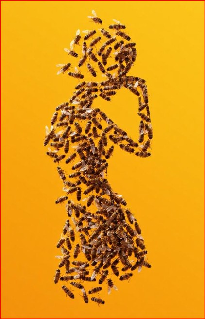 bee girl silhouette.jpg